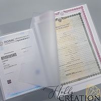Вкладыш-органайзер для документов формат А4 на 2 комплекта документов + паспорт / 100 мкн.